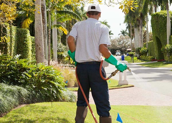 About Oceanport NJ Pest Control Pros